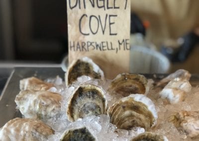 Dingley Cove Oysters at Island Creek in Harpswell Maine