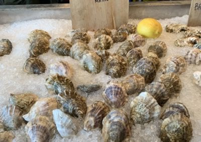 Ferda Farms Bombazine Oysters on display in ice in Brunswick Maine