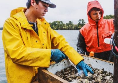 Rinsing Ferda Farms oysters in Brunswick Maine
