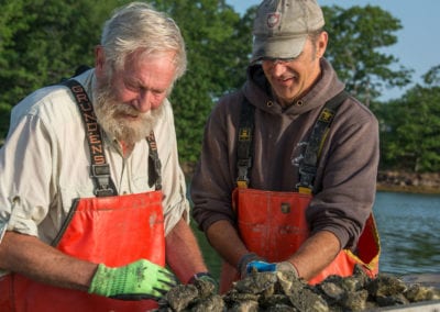 Iron Island Oyster farmers looking at their fresh oysters from the New Meadows River in Maine