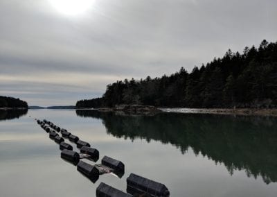 Winnegance oyster line in the New Meadows River, ME